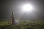 Bryce Howard in "The Village"